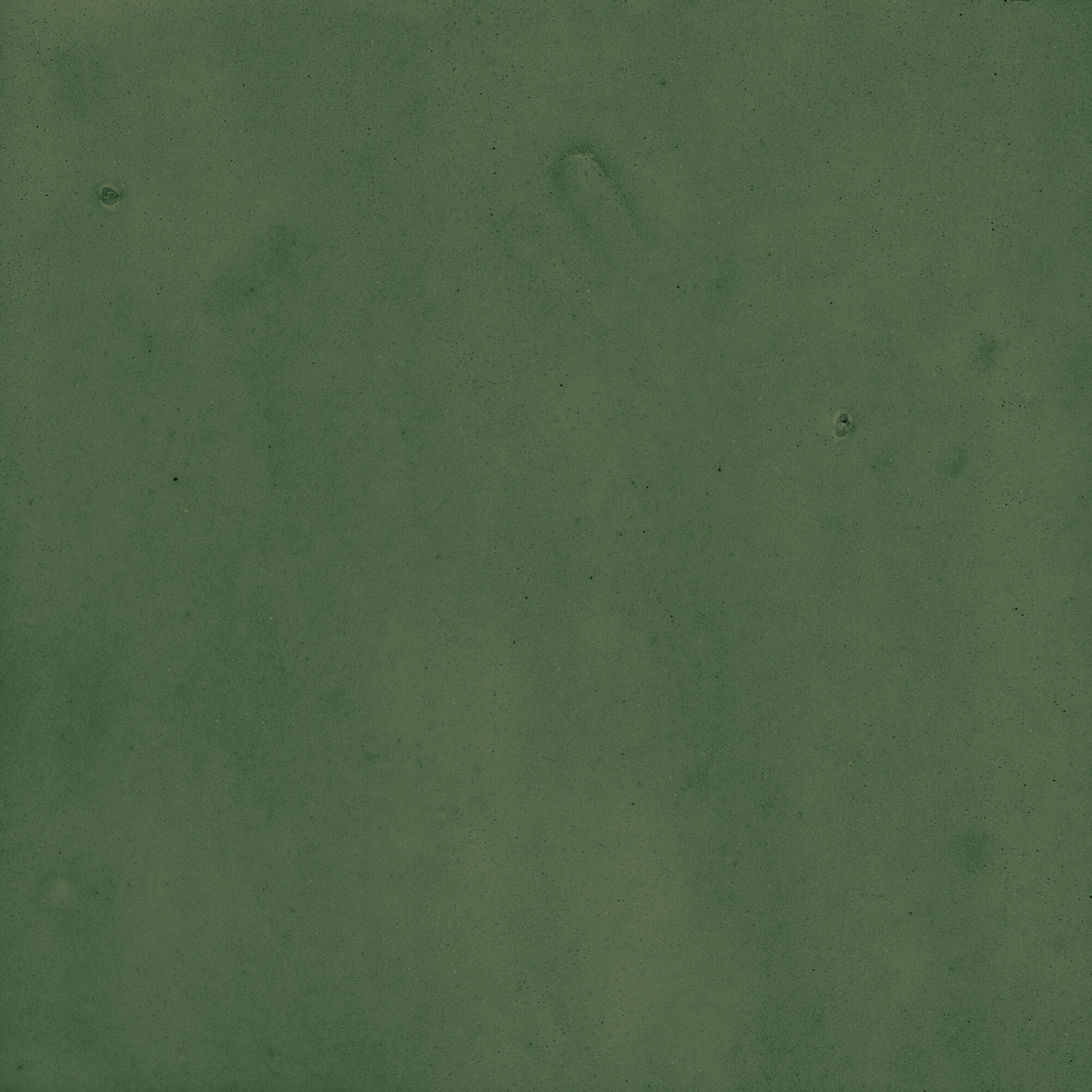 43289 На стену Samira Green 10x10 - фото 29