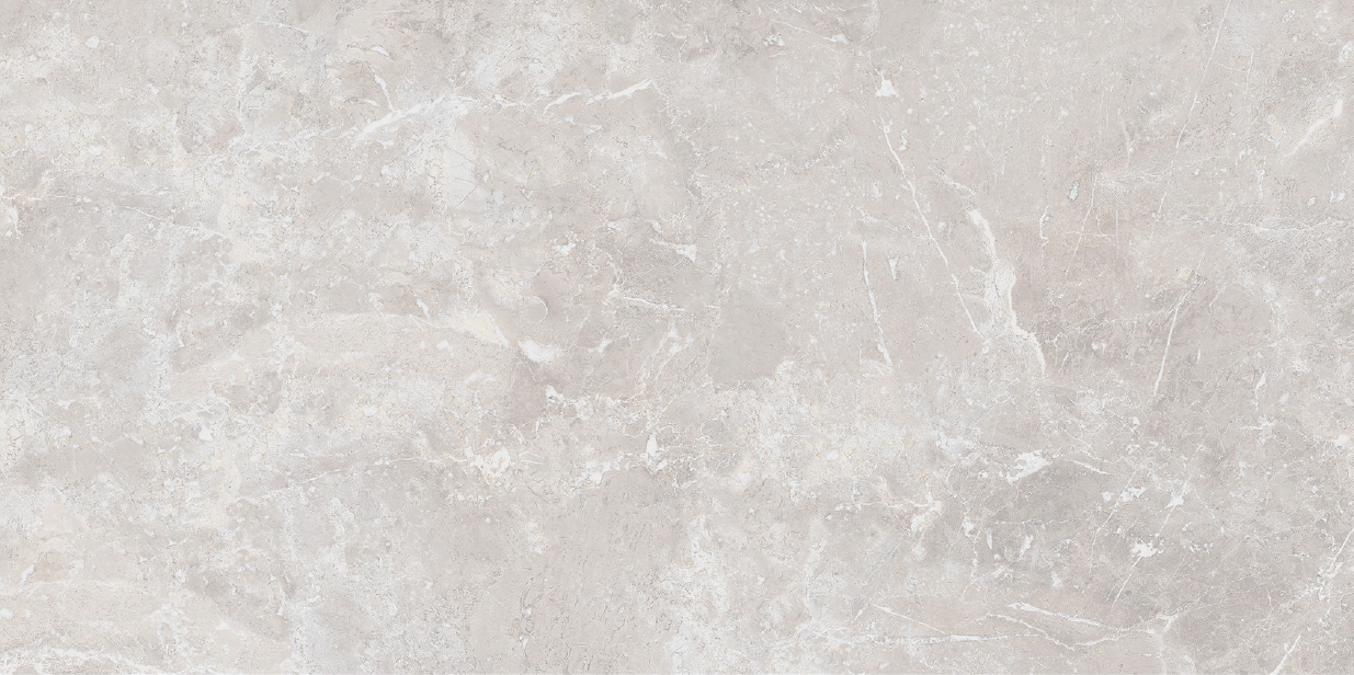 BR-01-01-0612-0009-3 На пол Concrete Lubin Dove Shape Seed 60х120 - фото 2