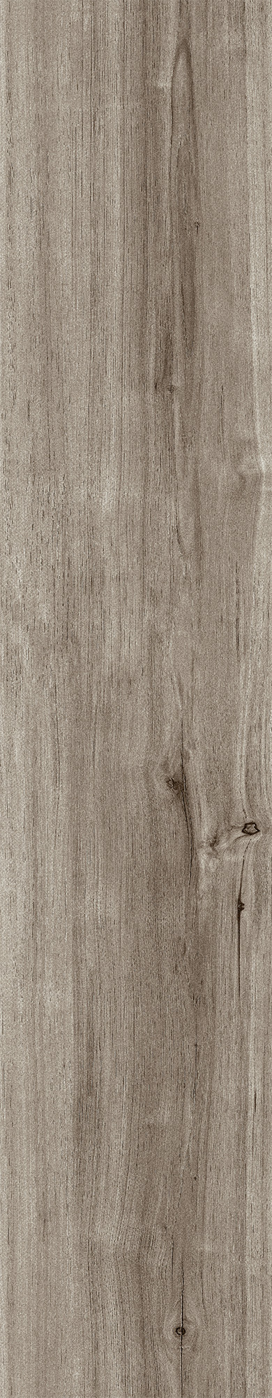 CW-RT01-B На пол Akasa Wood Ash Rustic 20x120 - фото 2