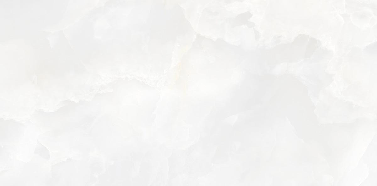 N130006 На пол Onyx Invictus White Polished 60x120 - фото 4