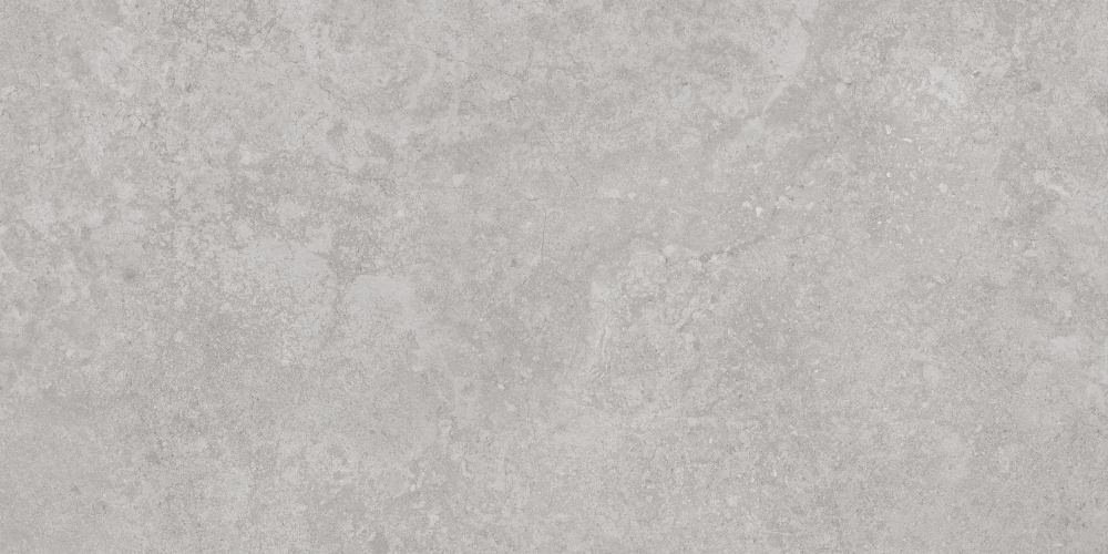 AVS-107 На пол Antica Silver Lappato 600x1200 - фото 5