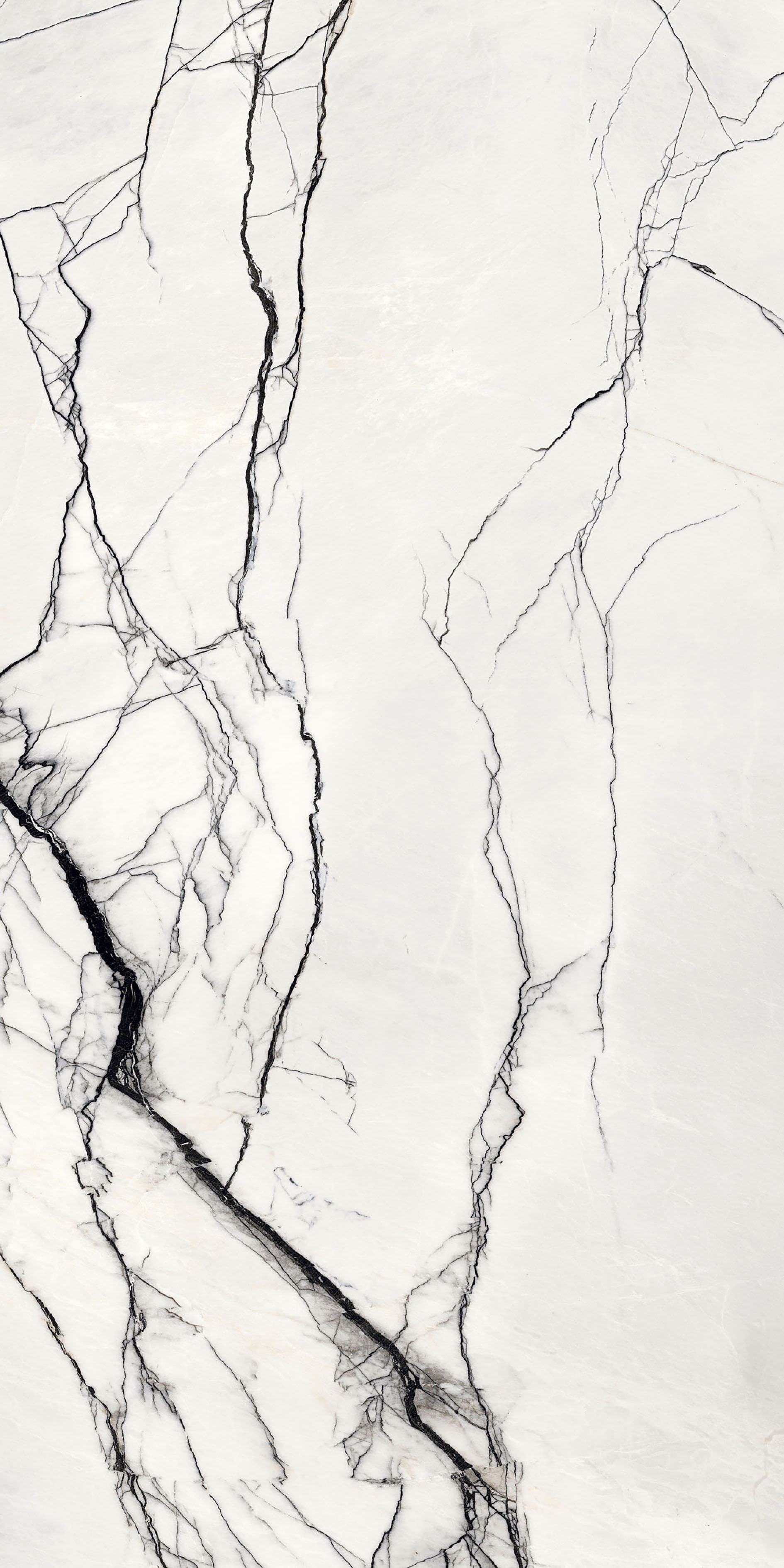 765503 На пол B and W Marble Breach High-Glossy 6mm 160x320 - фото 5