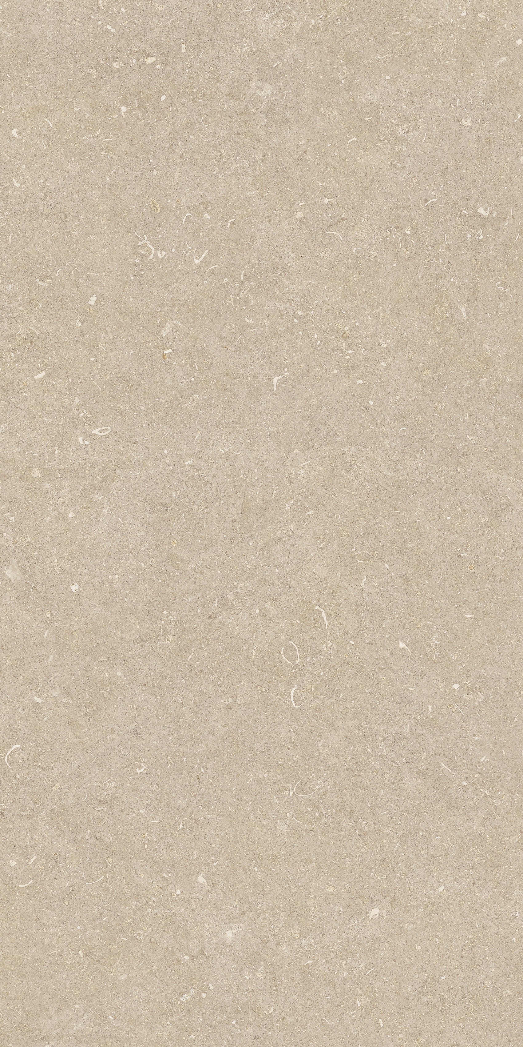 785509 На пол Rinascenza Arena Conchiglia Grip 20mm 60x120 - фото 6