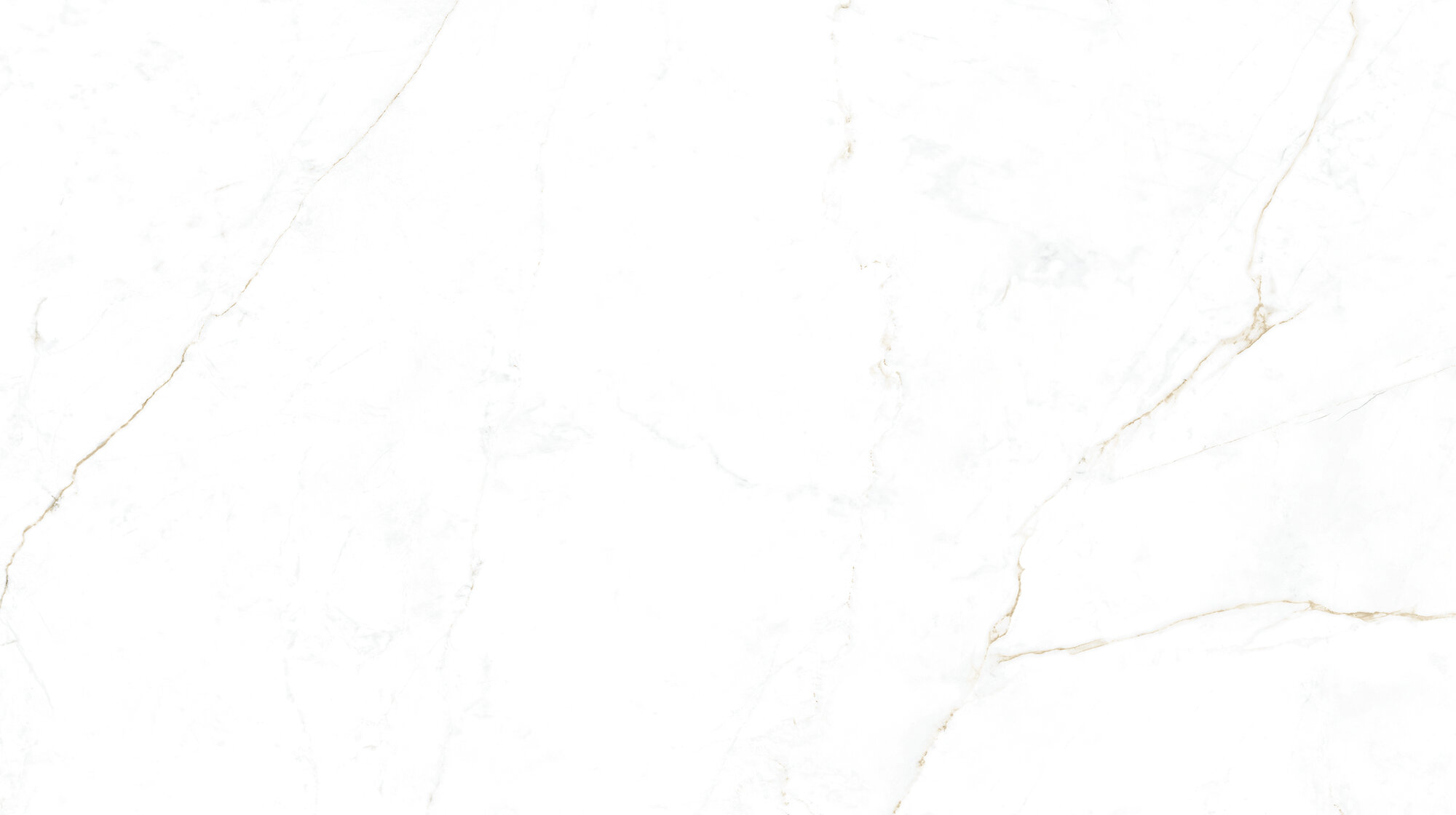 31745 На пол Museum Dual White/100X180/P 100х180 - фото 11