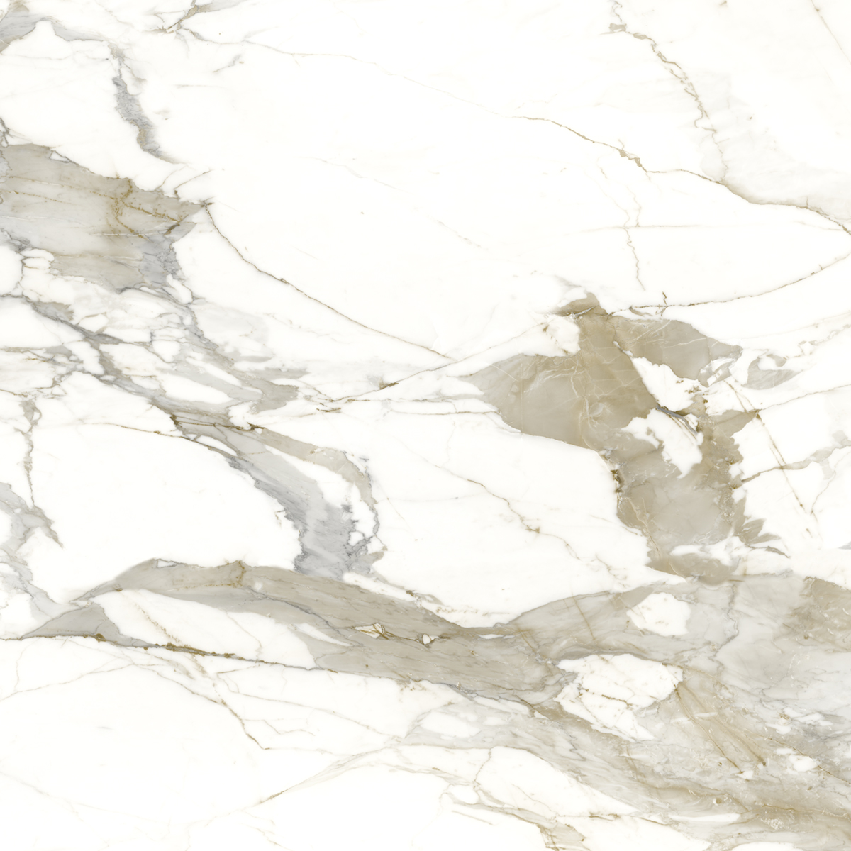 На пол Statuario Gold 60x60