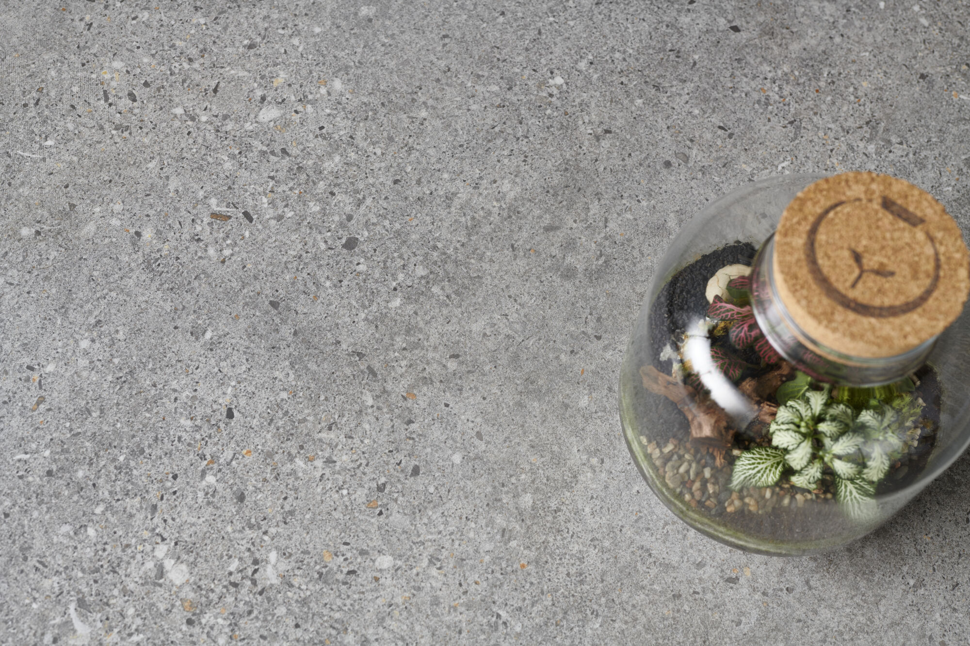 Peronda Manhattan - фото 11