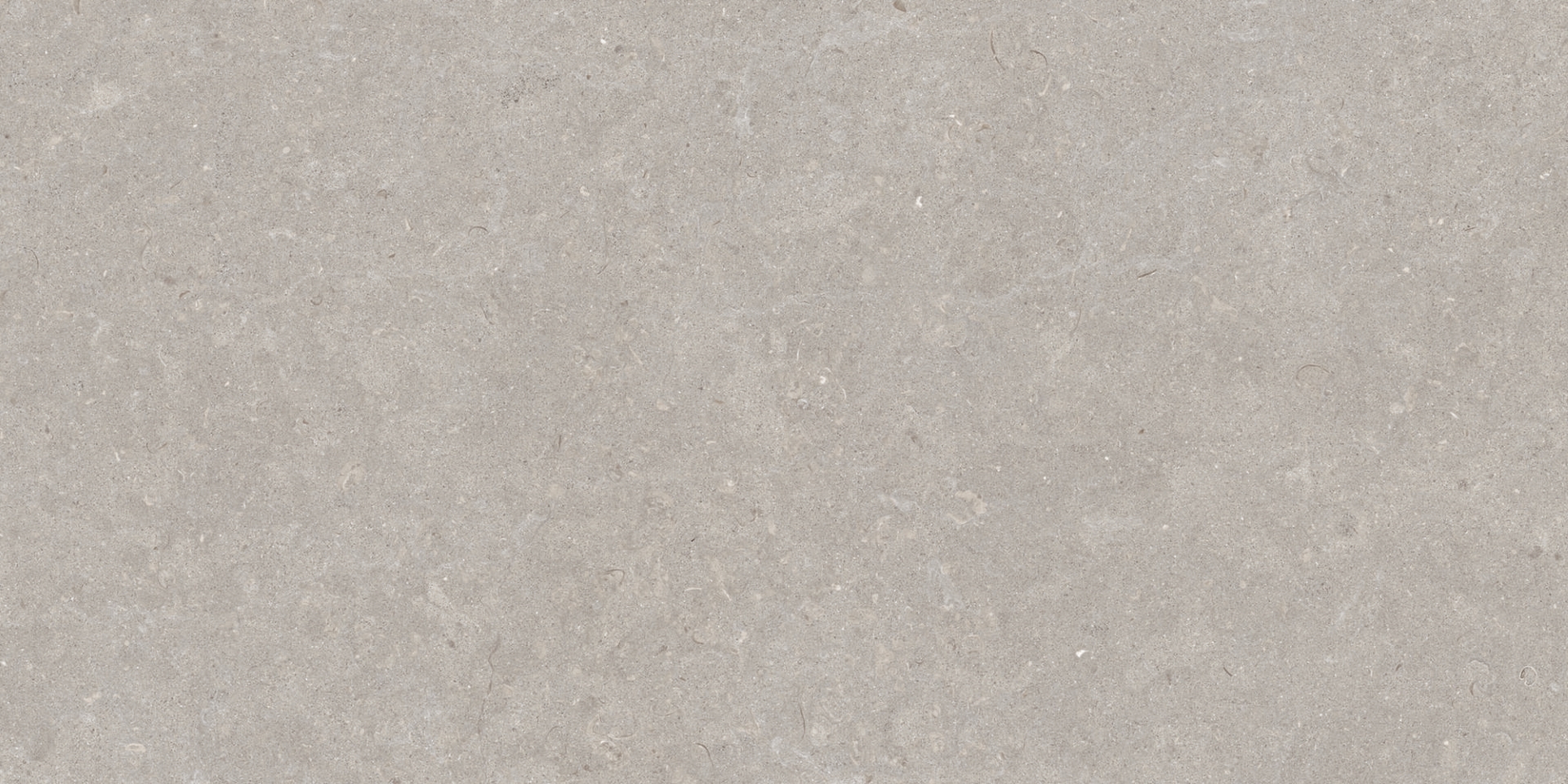 31751 На пол Ghent Grey AS/60X120/C/R 60x120 - фото 2