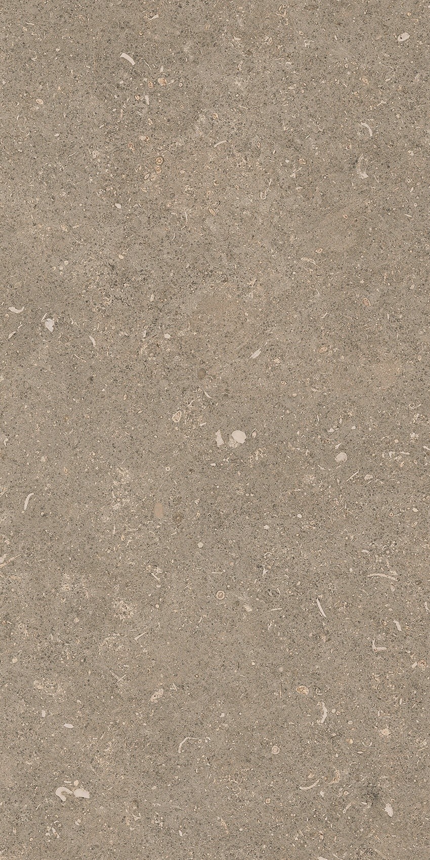 785490 На пол Rinascenza Arena Pietra Matte 30x60 - фото 7