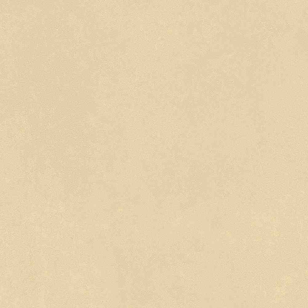 ENCLR6079MT2020 На пол Levels Avorio Matt 200х200х8 - фото 3