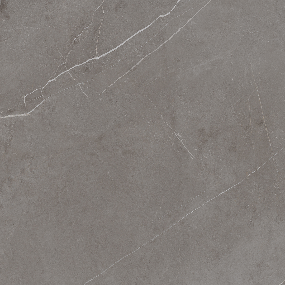 NL03/NS_R9/60x60x9R/GC На пол Nolana NL03 Dark Grey Неполированный Рект. 60x60x9 - фото 20