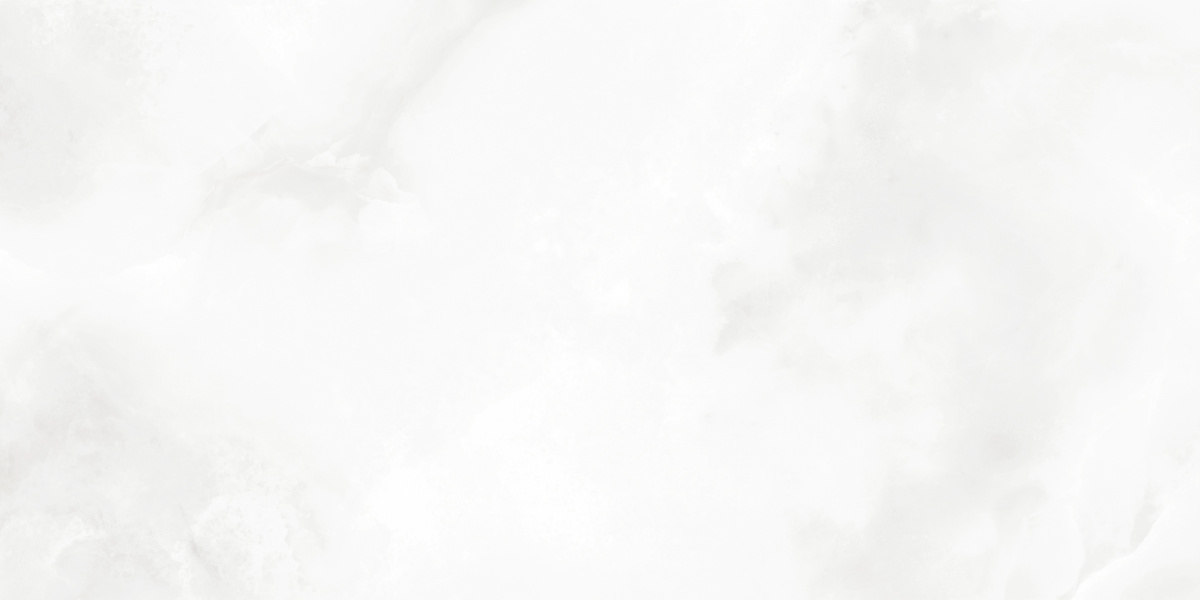 LP6012G0541R На пол Bernini Bianco белый глянцевые чернила 59.5х119.1 - фото 8