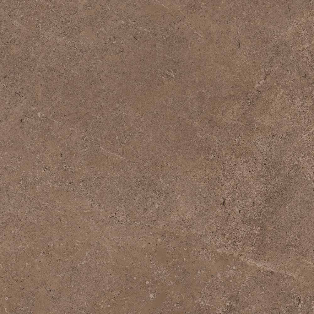 GO02/NS_R9/60x60x10R/GW На пол Gobi GO02 Dark Beige неполированный 60x60 - фото 6