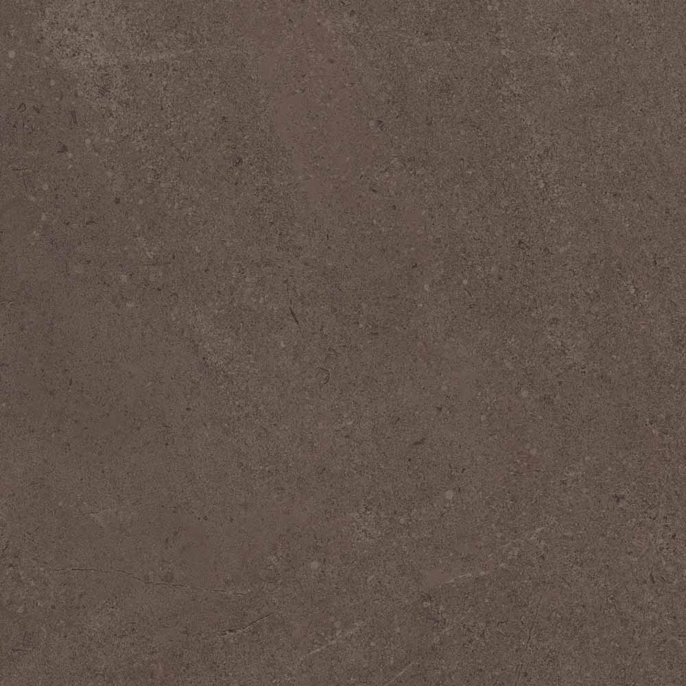 GO03/NS_R9/60x60x10R/GC На пол Gobi GO03 Brown Grey неполированный 60x60 - фото 8