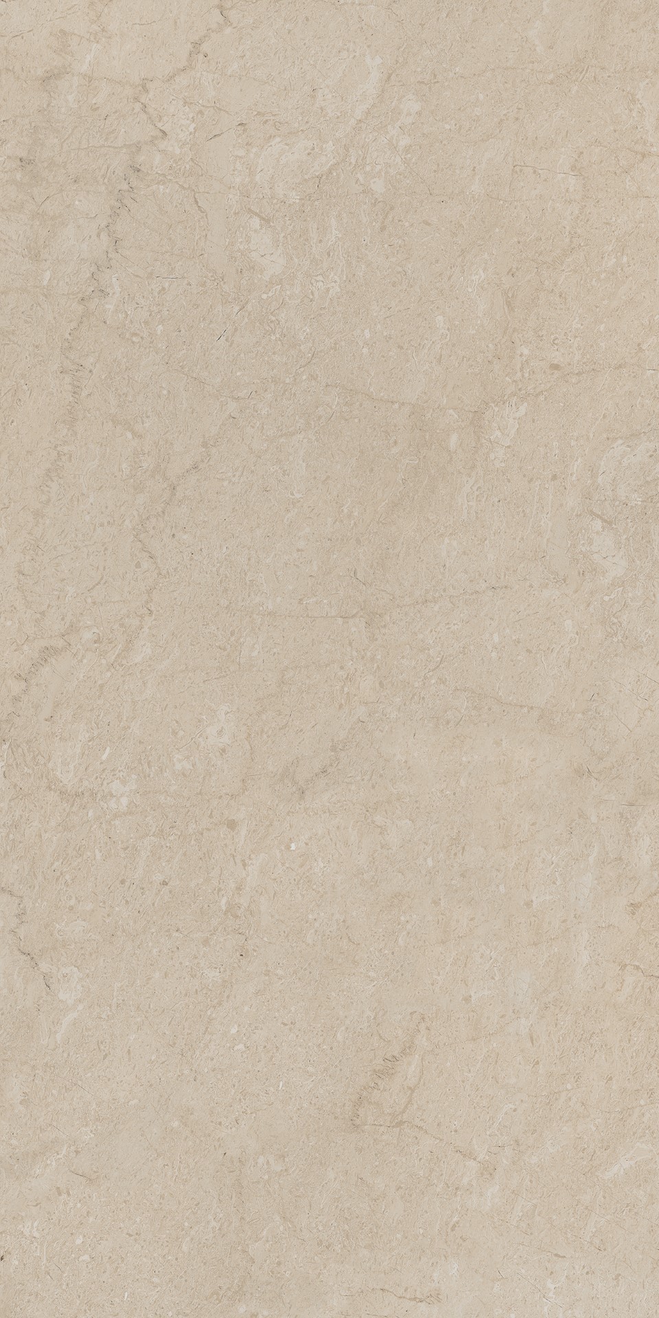 AEM01/NS_R9/60x120x9R/GW На пол Элемента Бежевый Неполированный Рект 60x120x9 - фото 3