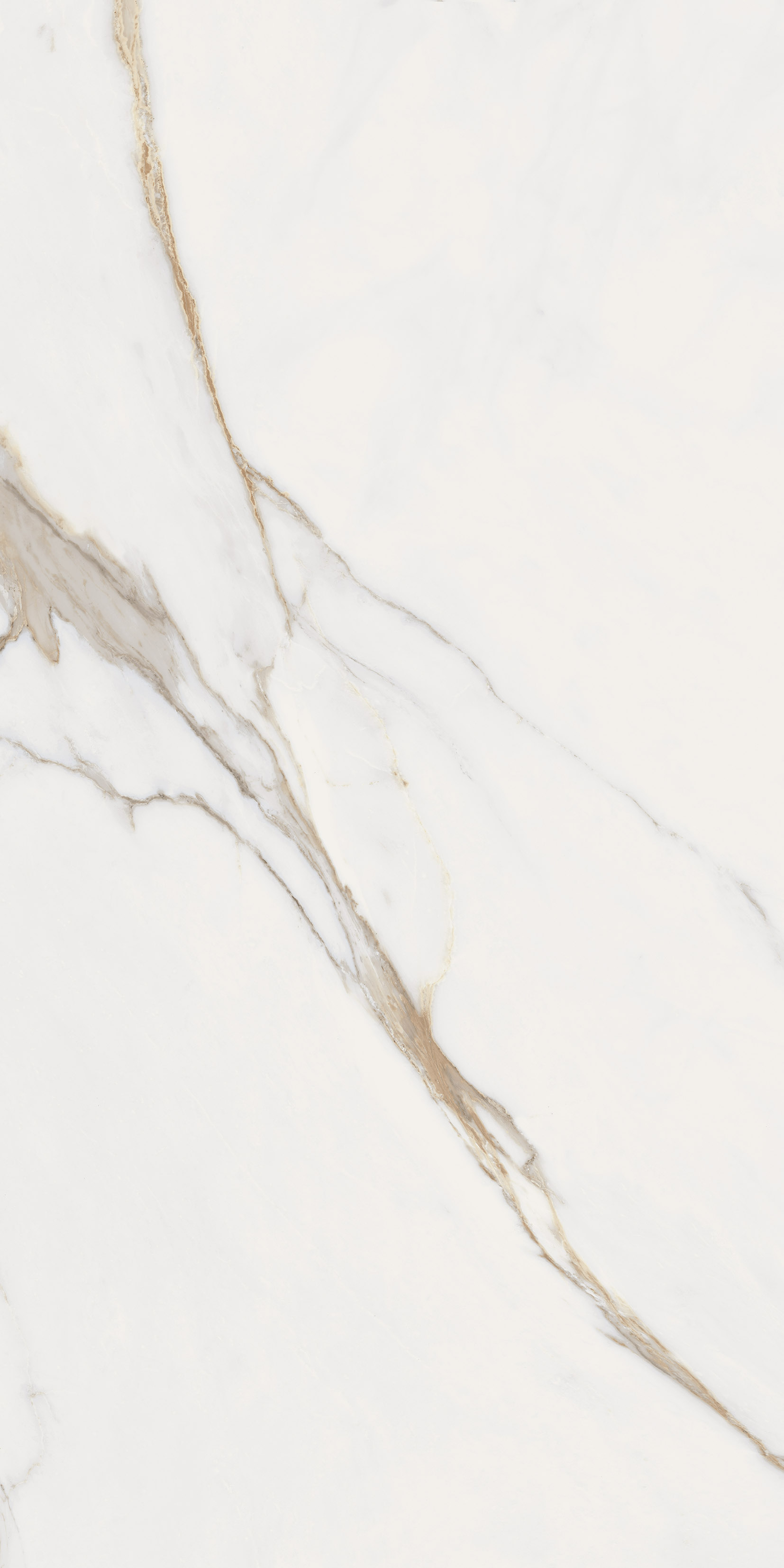 2A28 На пол Elements Lux Gold Lap Rt 120x60 - фото 2