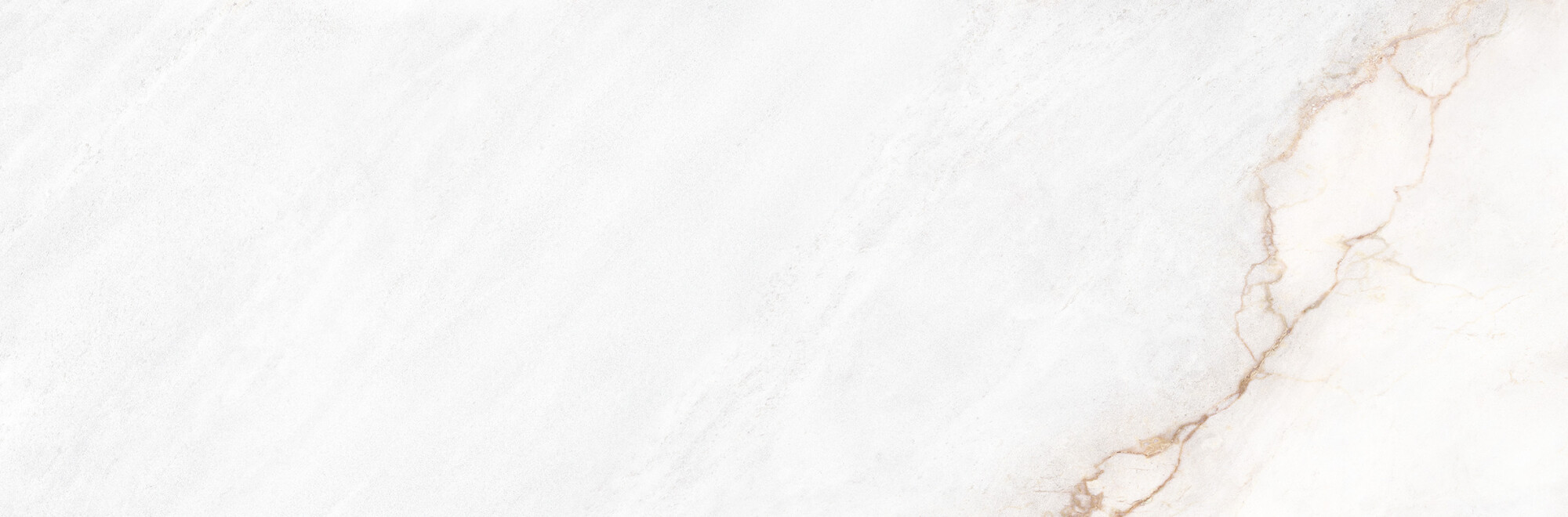 39500 На стену Museum Dahlia White SP/33.3X100/R 33.3x100 - фото 10