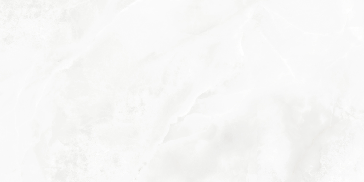 LP6012G0541R На пол Bernini Bianco белый глянцевые чернила 59.5х119.1