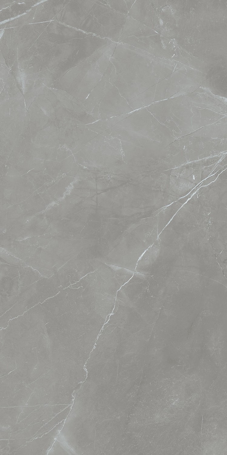 PP-06-358-1198-0598-1-034 На пол Grey Pulpis Sat 119.8x59.8