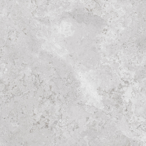 230221 На пол Porcelain Verona Grey Polished 60x60