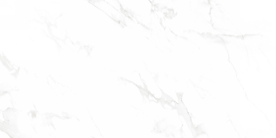 N12003 На пол Classic Marble Venus Bianco Polished 60x120