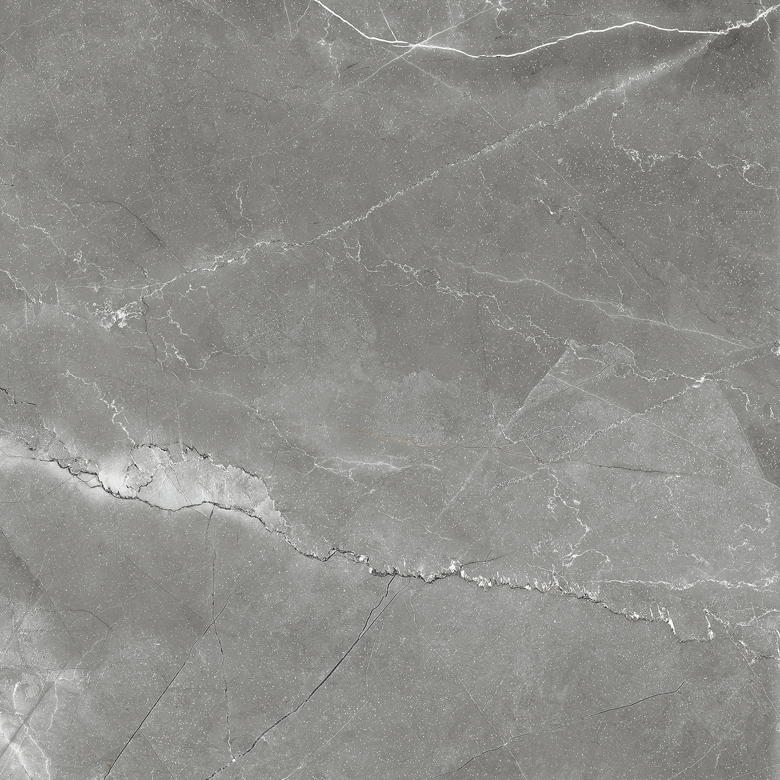 CR6011-A На пол Pulpis Nero Carving 60x60 - фото 2