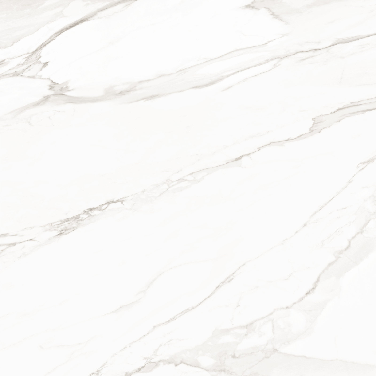 8080TRL00M На пол Trend Line Calacatta матовый 800x800 - фото 4