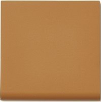 Ступень Метлахская плитка 1001B0CAR BR10 TOFFEE CAR 10x10