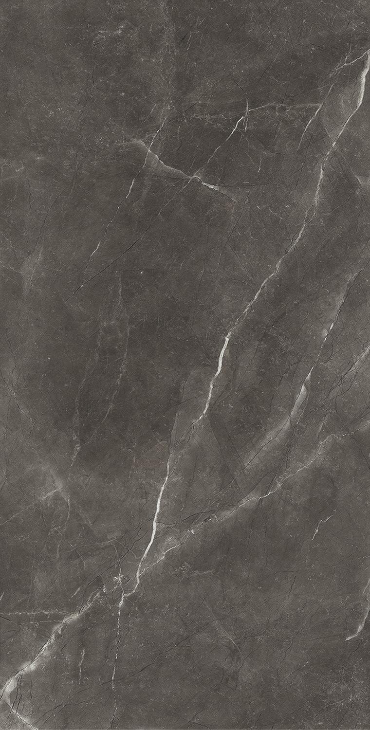 На пол Bayona Grey Pulido 120x240