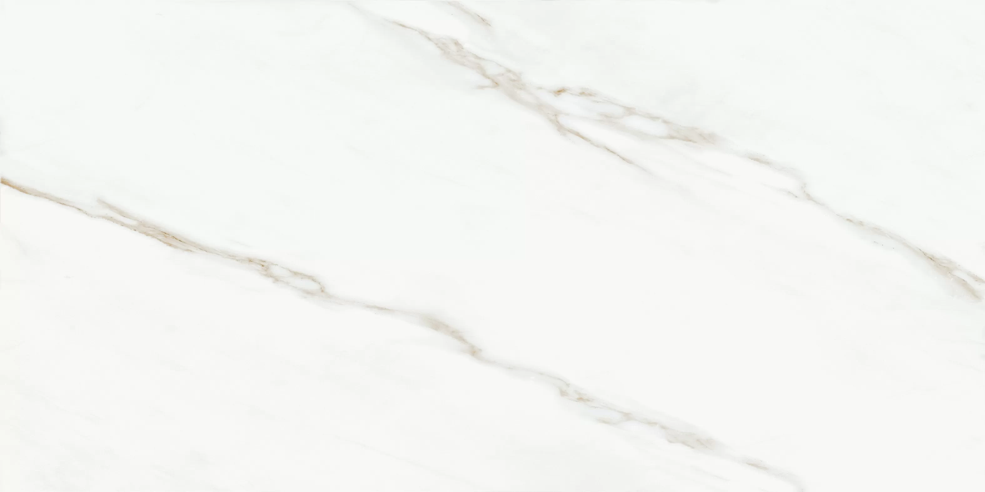 RP-144408 На пол Oriental White 60x120 - фото 8
