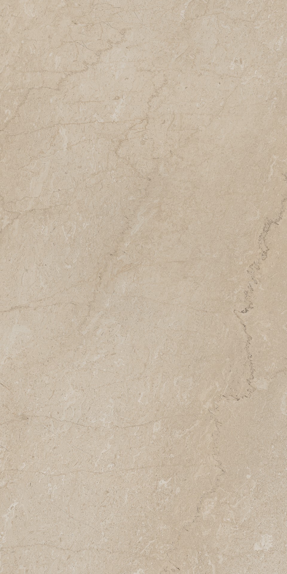 AEM01/NS_R9/60x120x9R/GW На пол Элемента Бежевый Неполированный Рект 60x120x9 - фото 4