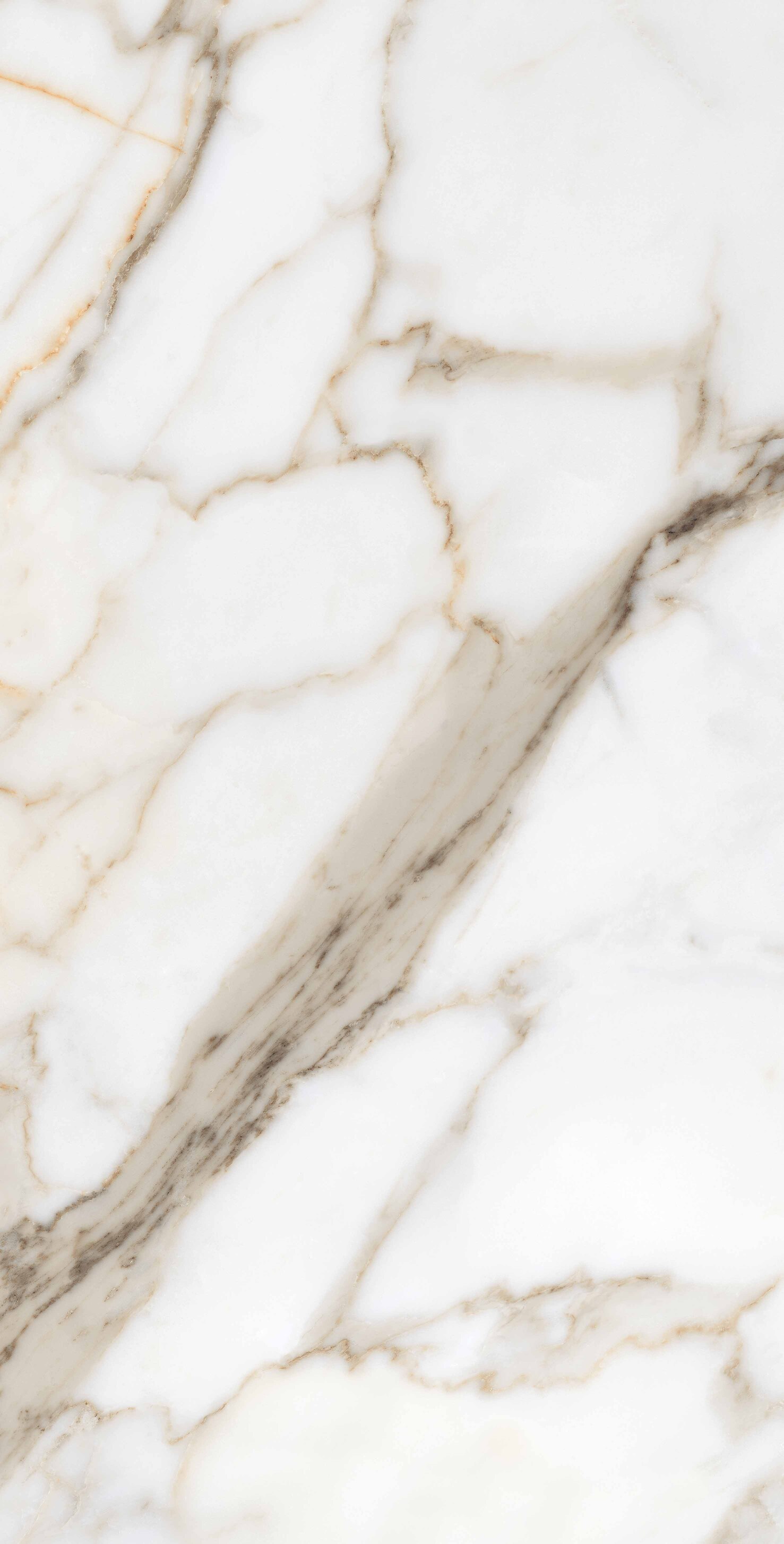 На пол Calacata Gold Polished 80x160