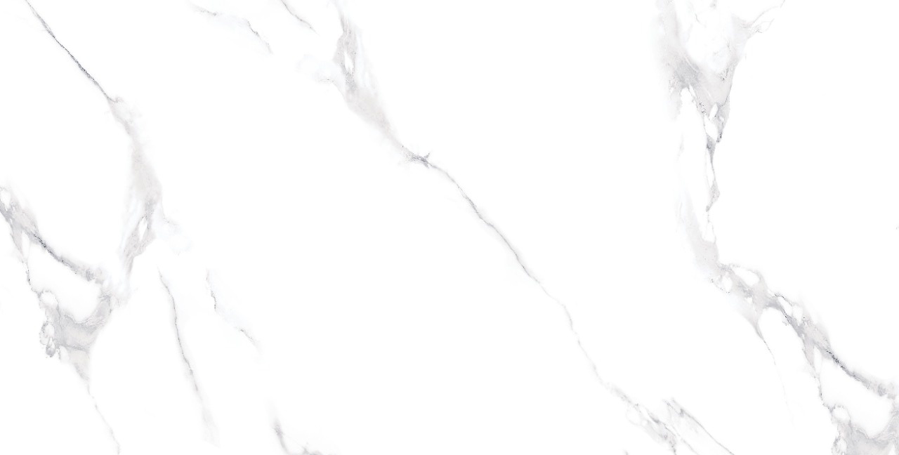 На пол 5020 Carrara Bianco Matt 60x120