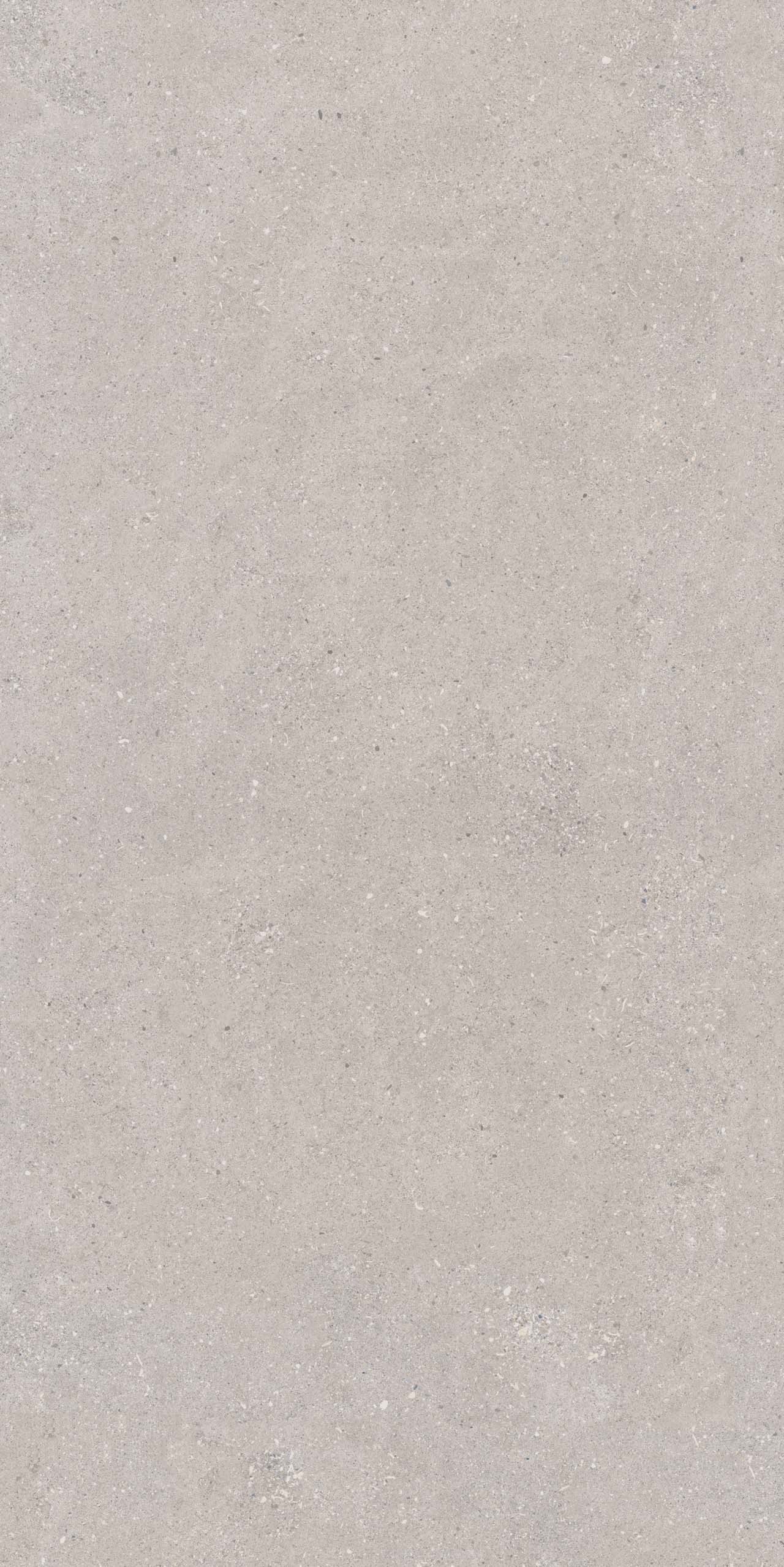 CE02/NR_R9/60x120x9R/GW На пол Спенс CE02 Светло-серый Структурированный Рект 60x120x9 - фото 5