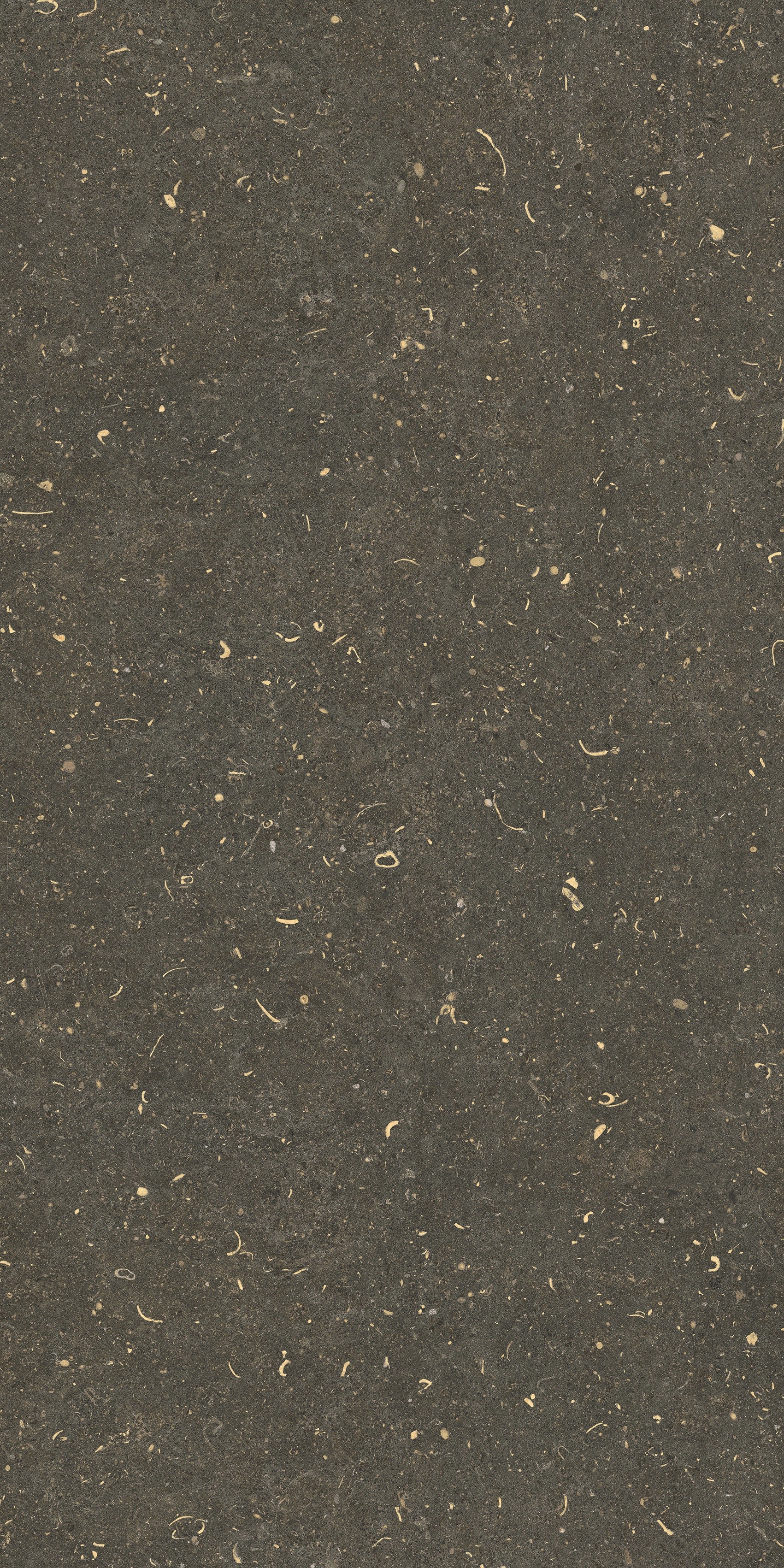 785495 На пол Rinascenza Arena Platino Grip 60x120