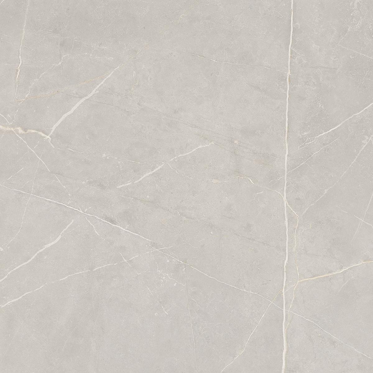 NL02/PS_NC/60x60x10R/GW На пол Nolana NL02 Light Grey Полированный Рект. 60x60x10 - фото 9