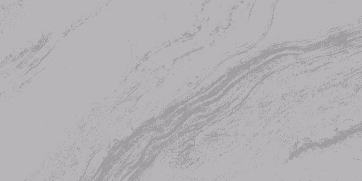 LP6012G0571R  На пол Solo Argento серый глянцевые чернила 59.5х119.1 - фото 3