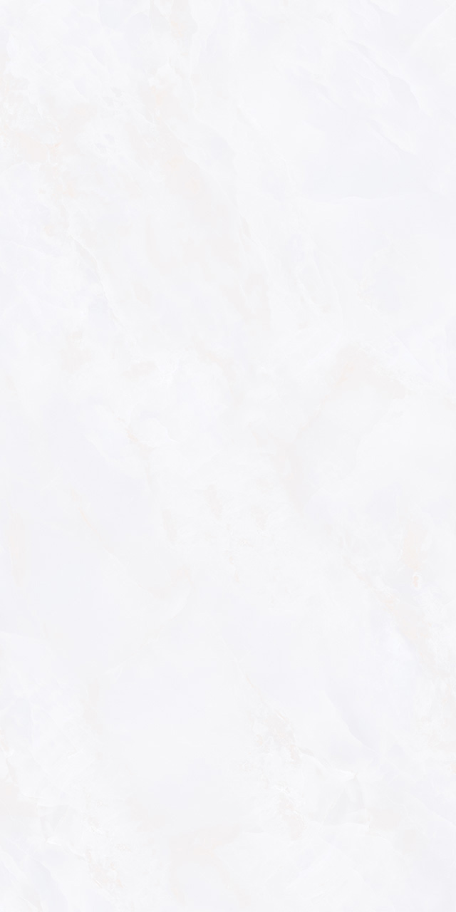 ZA-D12603 На пол Glazed 603 PR 1200x600x9