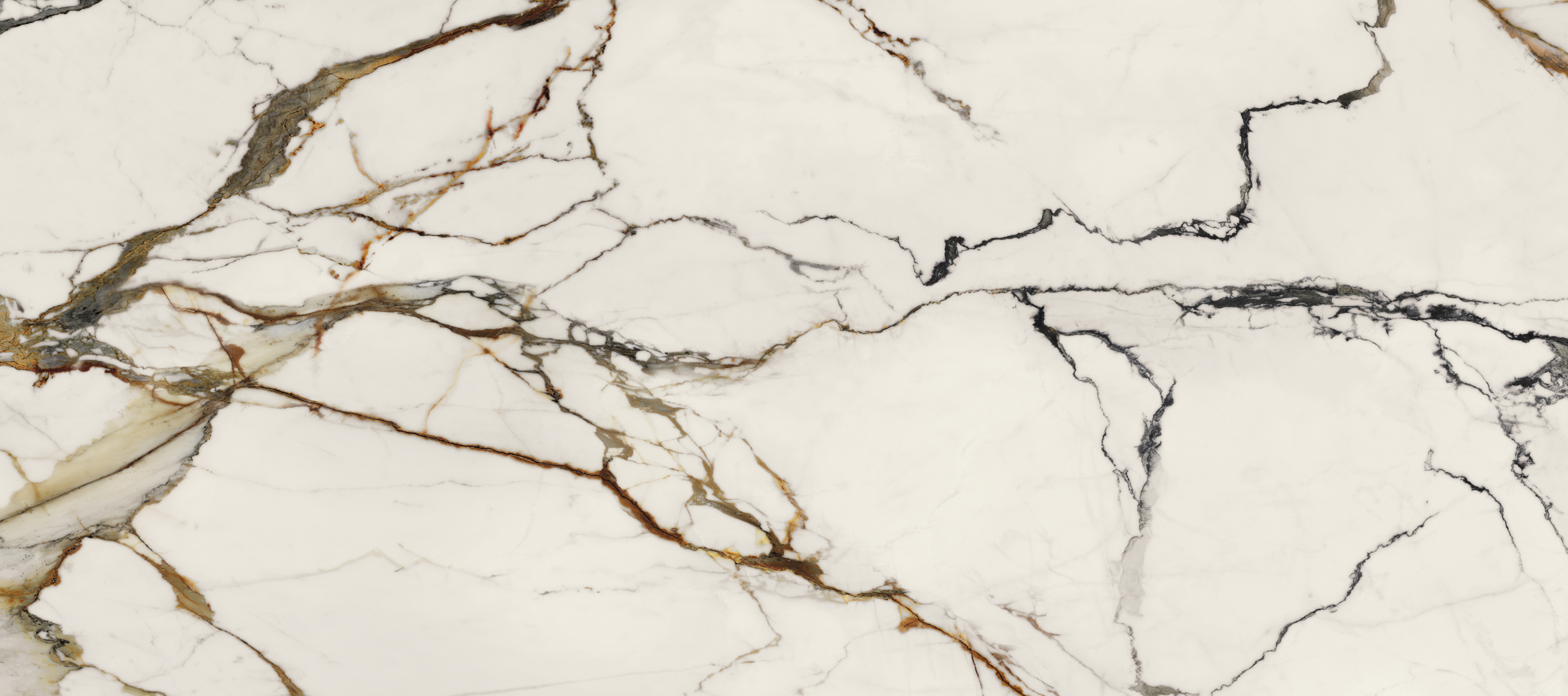 100332665 На стену Xlight Paonazzo Biondo Polished 120х270 - фото 4