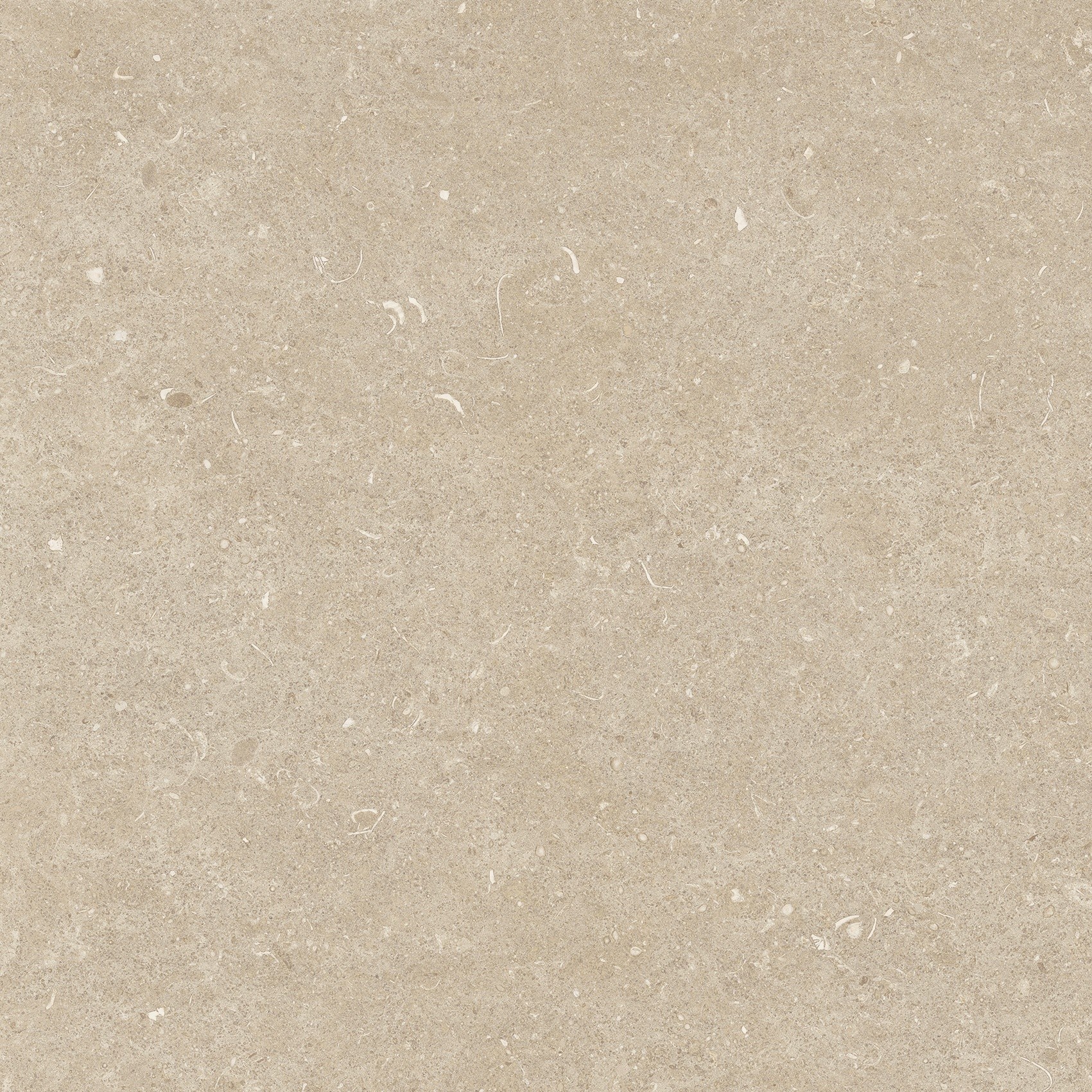 785485 На пол Rinascenza Arena Conchiglia Matte 60x60 - фото 3