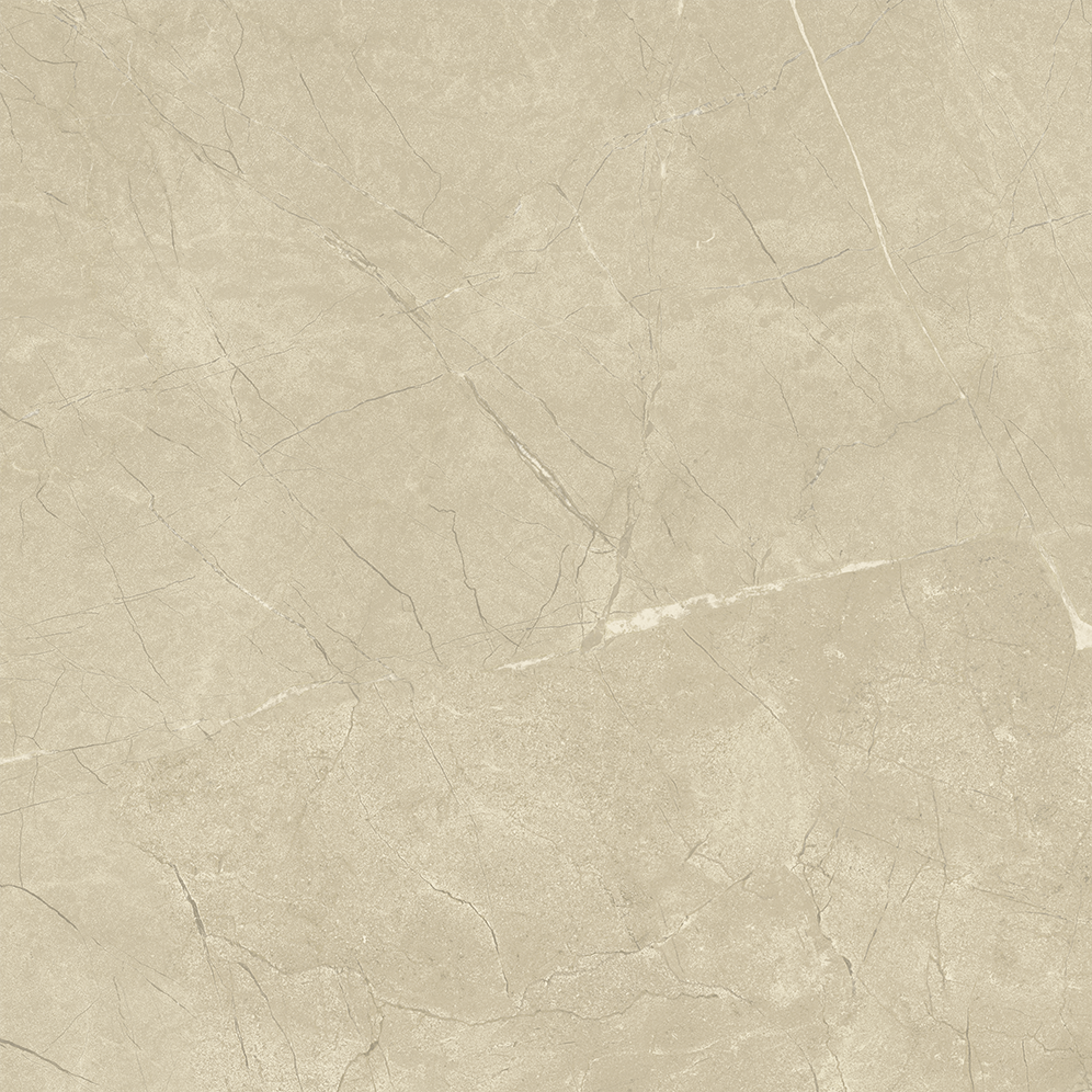 610015000551 На пол Charme Extra Floor Project Arcadia Lux Ret 60x60 - фото 2