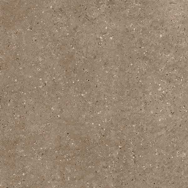 На пол Аркаим G214 Коричневый Матовый неполированный 60x60 - фото 3