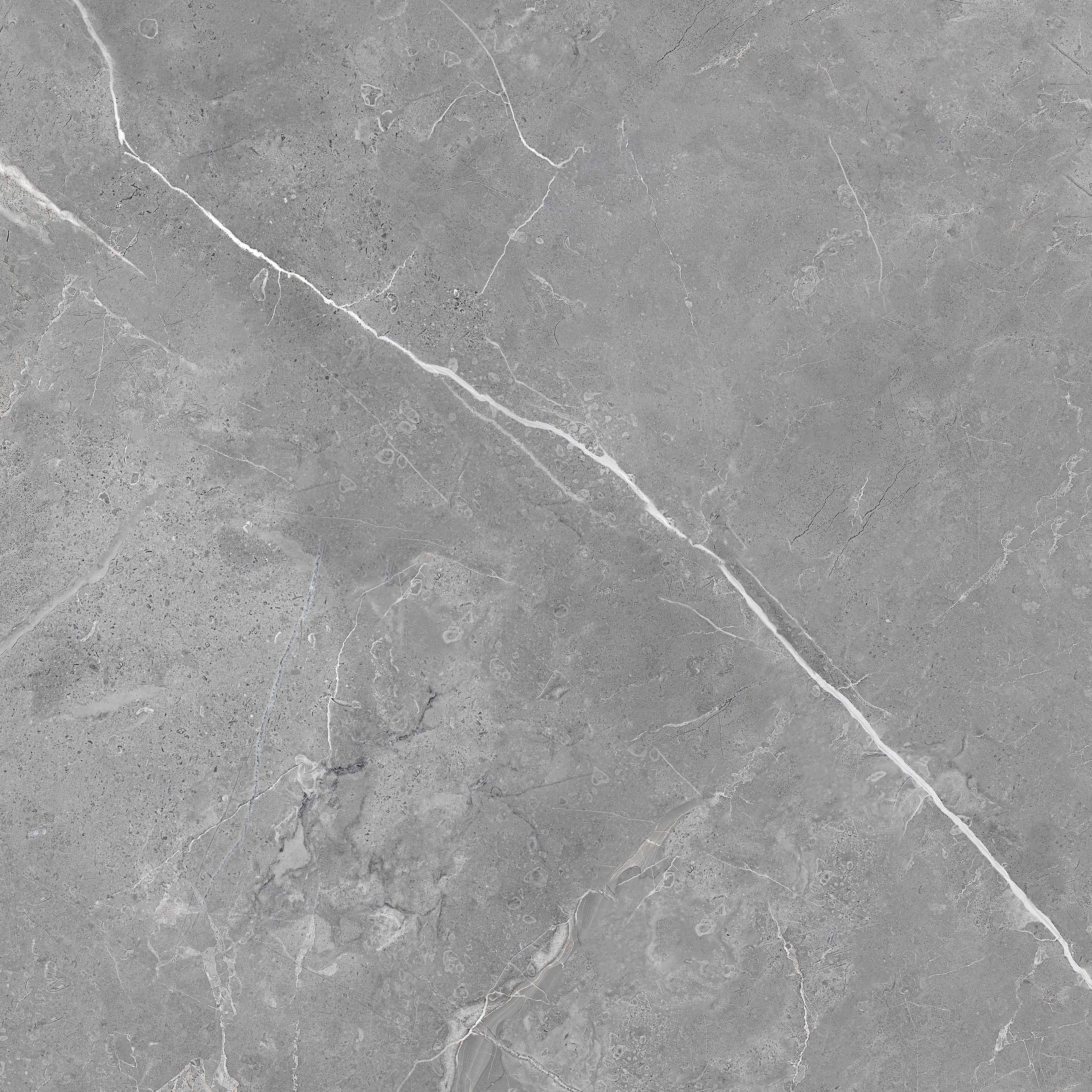 7930138705405 На пол Рубис/Rubis Серый Полированный 60x60 - фото 4