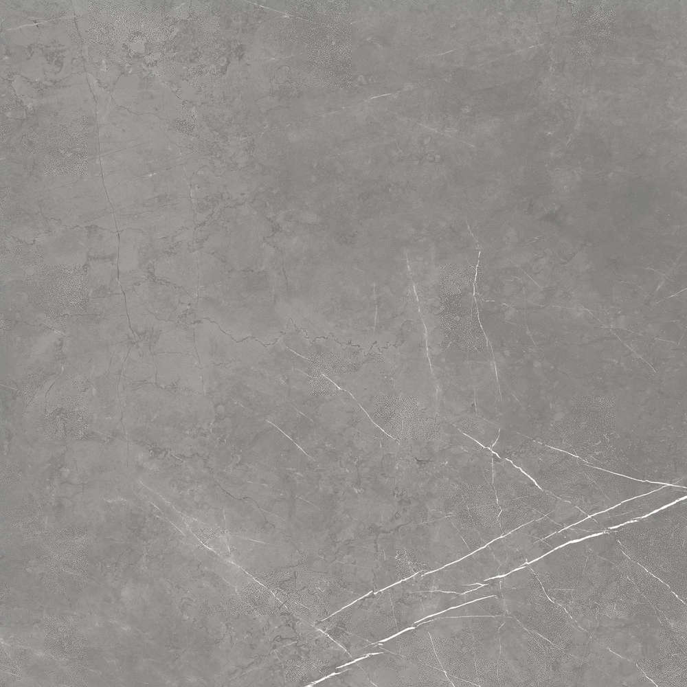 610010002724 Напольный Forte dei Marmi Elegant Mystic Grey Lastra 60x60 - фото 4