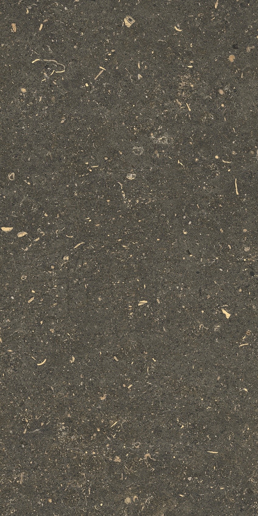 785503 На пол Rinascenza Arena Platino Grip 30x60 - фото 8