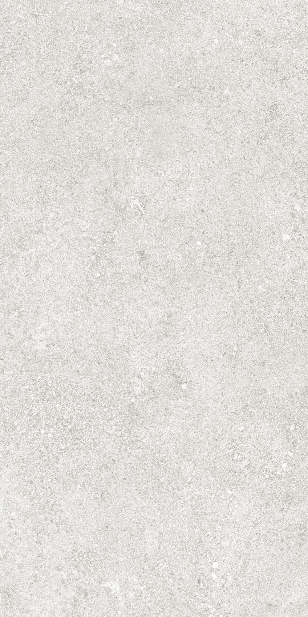 36904 На пол Cluny Silver 4D/50X100X2/A/R 50x100 - фото 15