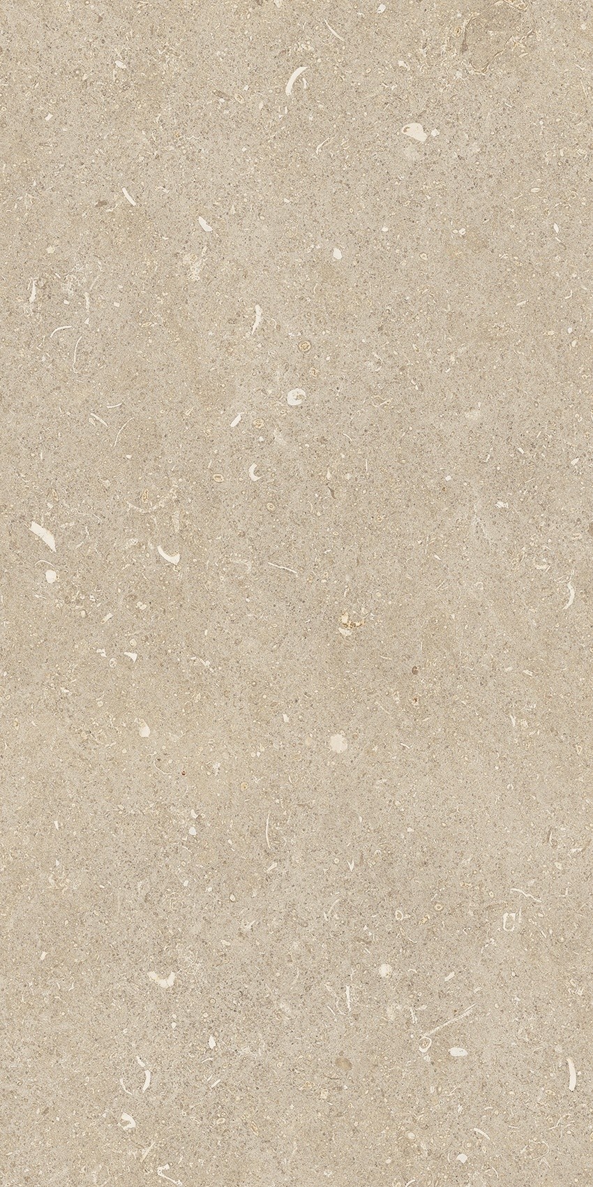 785489 На пол Rinascenza Arena Conchiglia Matte 30x60 - фото 2