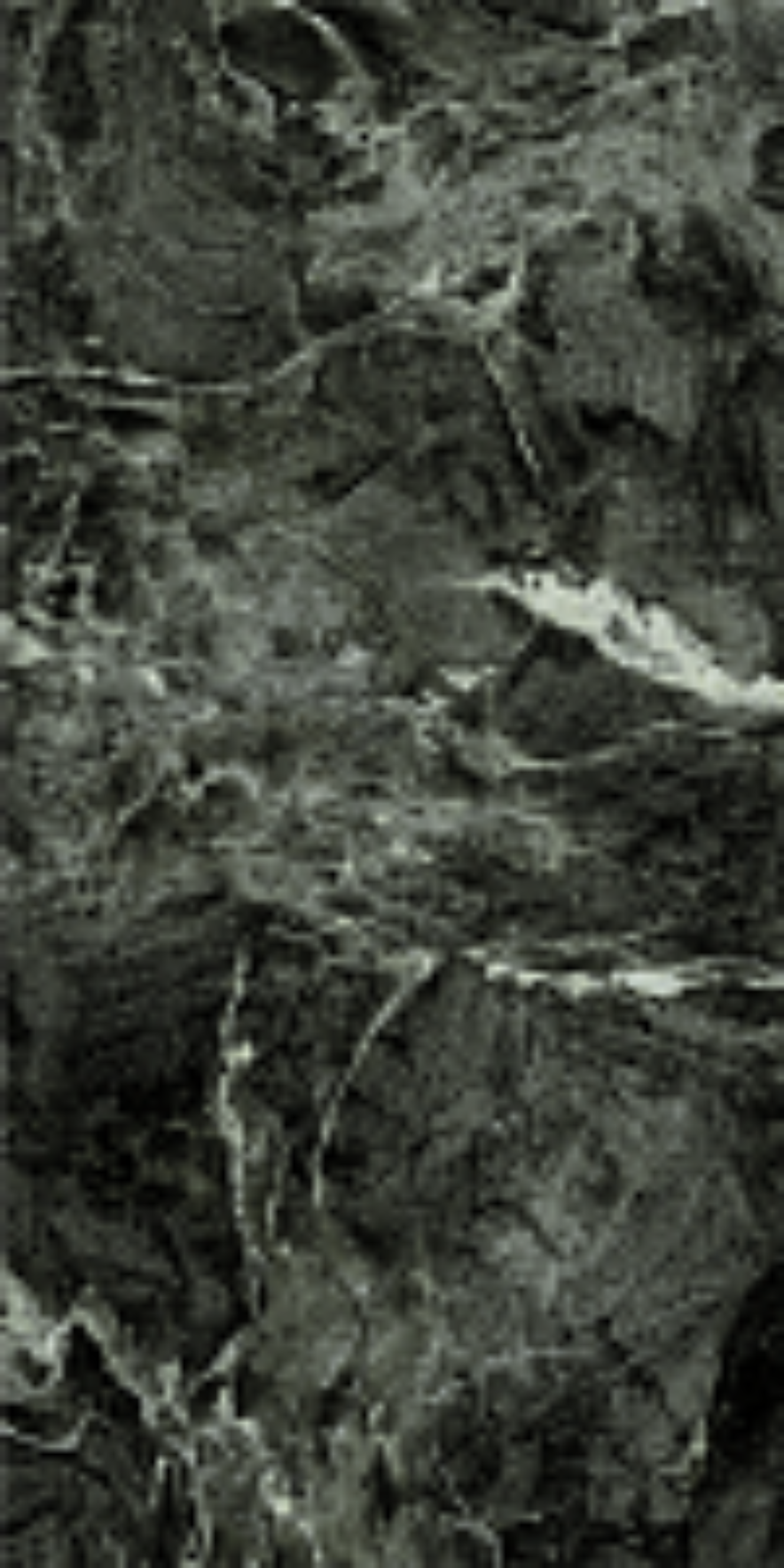 610015000710 На пол Magma Alpi Green Cer Ret 80x160 - фото 2