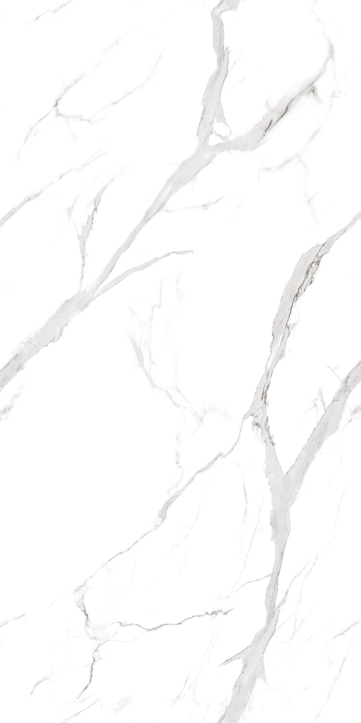 900  Напольный Marble 5.5mm Statuario Fantastico 120x60 - фото 3