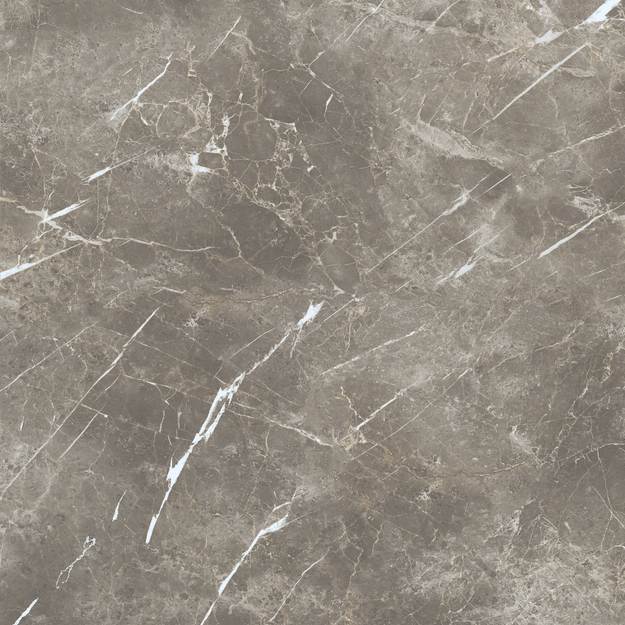 ECB2 На пол Elements Lux Persian Grey Silk RT 120x120 - фото 3