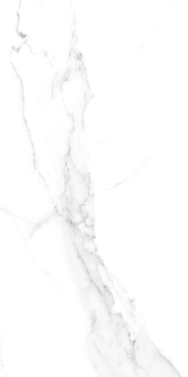 На пол Orlando Bianco Authentic 60x120 - фото 6